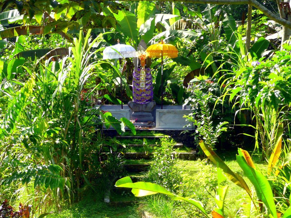 Villa Viola Ubud  Luaran gambar