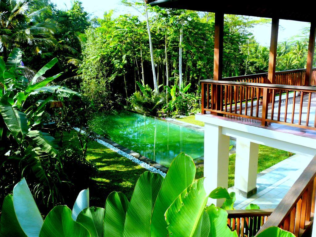 Villa Viola Ubud  Luaran gambar