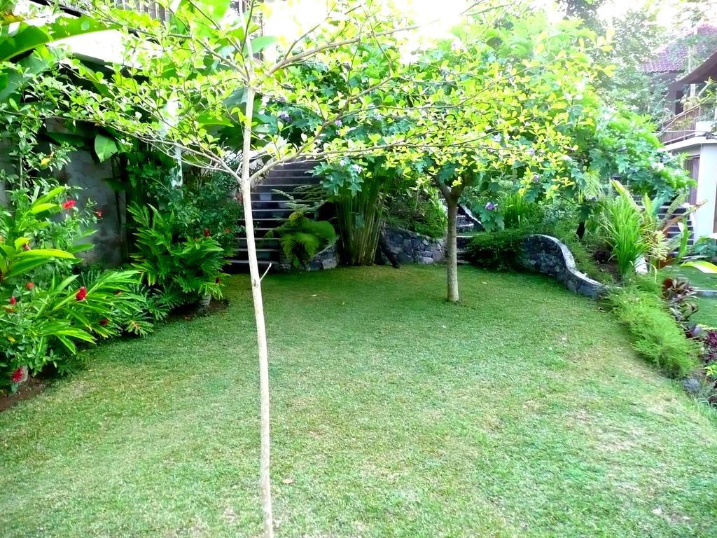 Villa Viola Ubud  Luaran gambar
