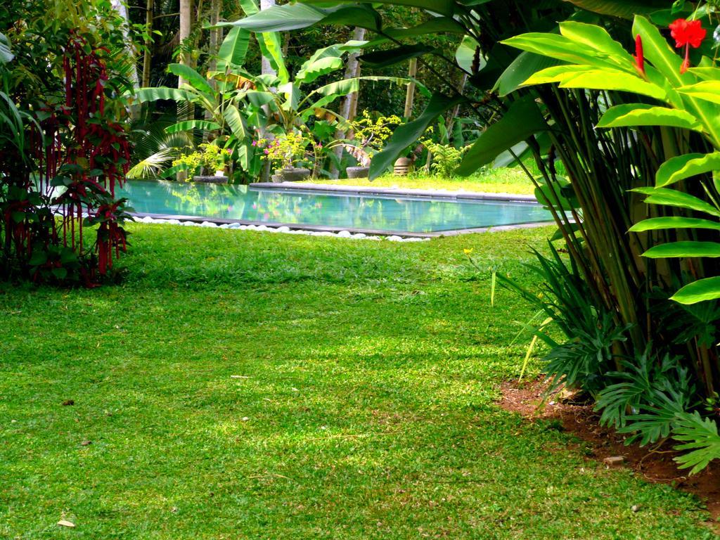 Villa Viola Ubud  Luaran gambar