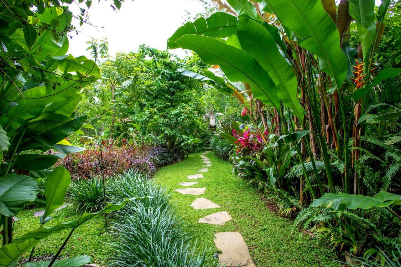 Villa Viola Ubud  Luaran gambar